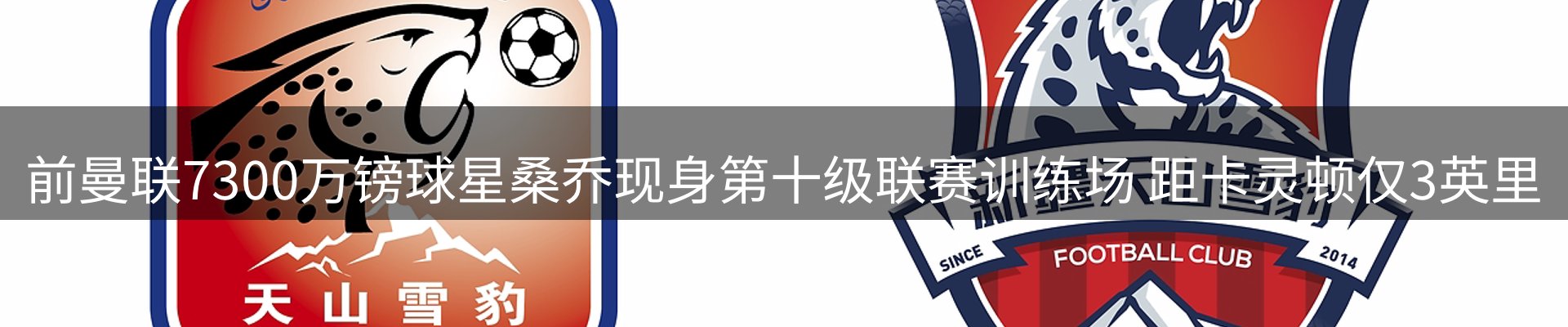 最新资讯
