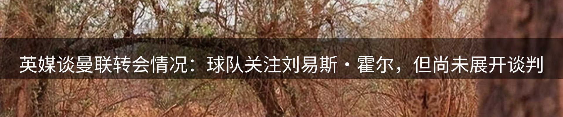 最新资讯